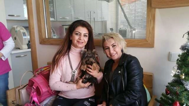 TÜRKİYE’DE İLK CİNS  KÖPEK ÜRETİMİ BURSA’DA (özel haber)