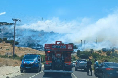 İzmir’de makilik ve otluk alanda yangın