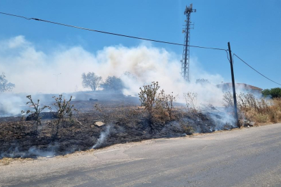 Bursa'da örtü yangını