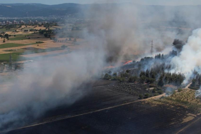 Bursa'daki yangın ormana sıçradı