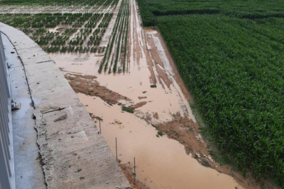 Bursa'da sağanak yağış tarım alanlarını vurdu