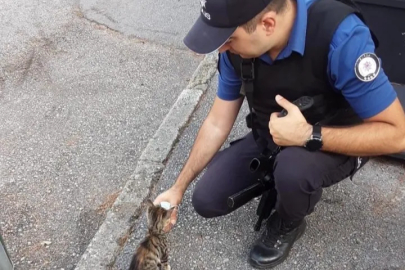 Yeni doğan kedi, polis merkezinin maskotu oldu