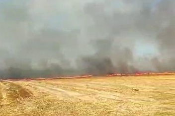 Silivri'de otluk alanda çıkan yangın büyük paniğe neden oldu