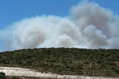 İzmir Çeşme'de orman yangını: 3 ölü