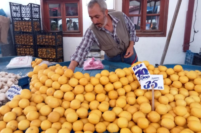 Pazarda bile kilosu 70 liraya dayanan limon