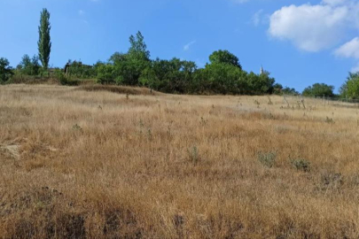 Atıl haldeki verimli arazileri ekip ekonomiye kazandıracaklar