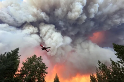 California'da yangın dehşeti: 145 bin dönüm alan kül oldu