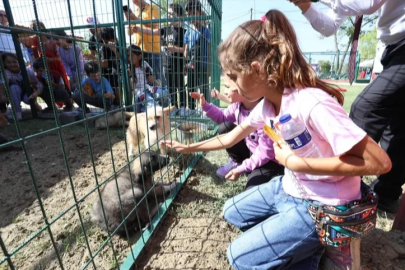 İnegöl'de Hayvanları Koruma Günü'ne renkli kutlama