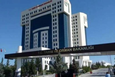 Tarım ve Orman Bakanlığından “33 soruda planlı üretim” rehberi