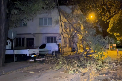 Bursa'da şiddetli rüzgar ağacı devirdi, yol kapandı