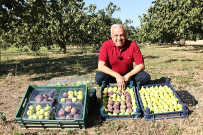 Şadi Başkan'dan çiftçiye kooperatif desteği